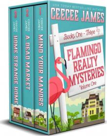 Flamingo Realty Mystery Box Set