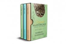 Florence Nightingale Comedy Mysteries Box Set