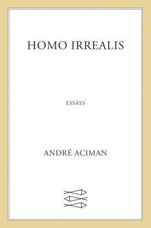 Homo Irrealis