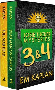 Josie Tucker Mysteries Box Set 2