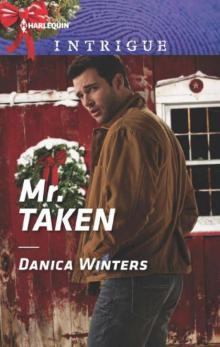 Mr. Taken (Mystery Christmas Book 3)