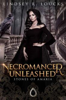 Necromancer Unleashed: Book 2