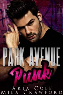 Park Avenue Punk