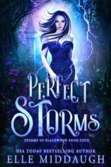 Perfect Storms (Storms of Blackwood Book 4)