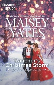 Rancher's Christmas Storm--A Western snowbound romance