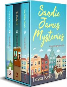 Sandie James Mysteries Box Set