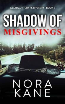 Shadow Of Misgivings