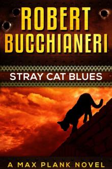 Stray Cat Blues