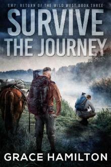 Survive the Journey (EMP