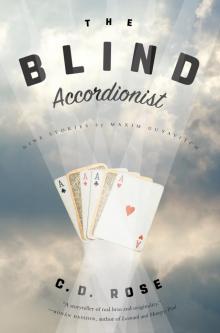 The Blind Accordionist