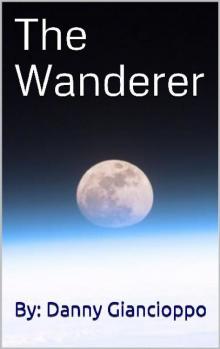 The Wanderer (Book 1): The Wanderer