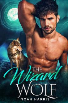 The Wizard Wolf (WindWard Triad Book 1)