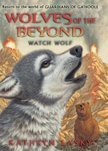 Watch Wolf