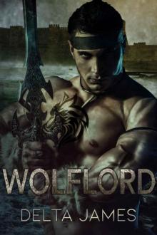 Wolflord: A Dark Shifter Romance