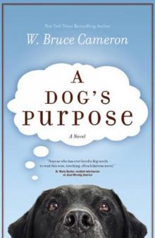 A Dog's Purpose