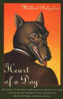 A Dog's Heart