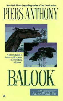 Balook