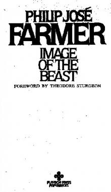 Image of the Beast