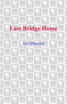 Last Bridge Home