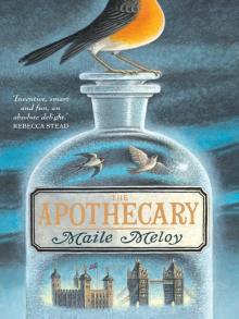 The Apothecary