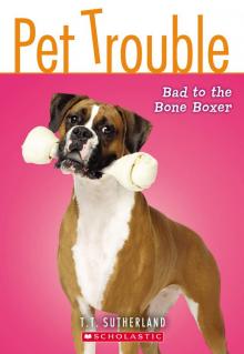 Bad to the Bone Boxer