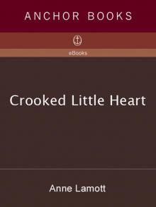 Crooked Little Heart