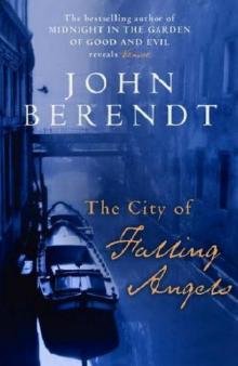 The City of Falling Angels