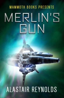 Merlin's Gun