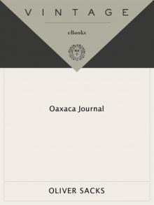 Oaxaca Journal