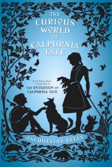 The Curious World of Calpurnia Tate