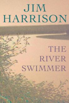 The River Swimmer: Novellas