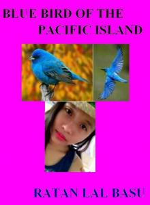 Blue Bird of the Pacific Island