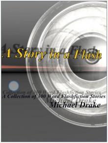 A Story in a Flash - A Collection of 300 Word Flashfiction Stories
