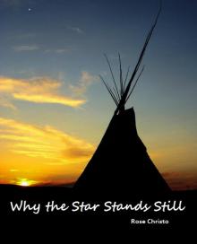 Why the Star Stands Still (Gives Light #4)