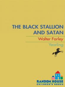 Black Stallion and Satan