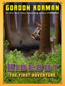 Hideout: The First Adventure
