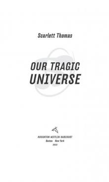 Our Tragic Universe