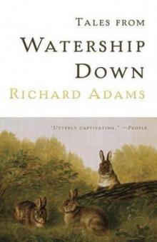 Tales From Watership Down