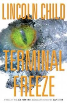 Terminal Freeze