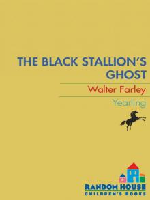 The Black Stallion's Ghost