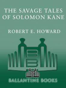 The Savage Tales of Solomon Kane