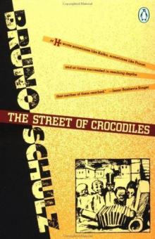 The Street of Crocodiles