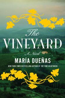 The Vineyard