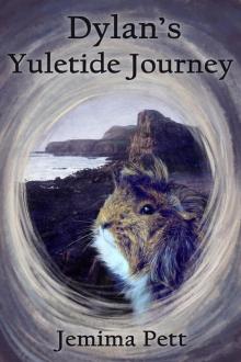 Dylan's Yuletide Journey