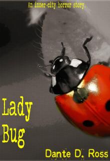 Lady Bug