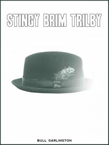 Stingy Brim Trilby