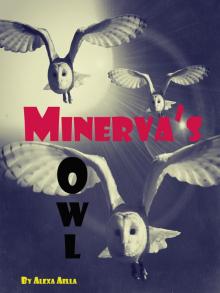 Minerva's Owl