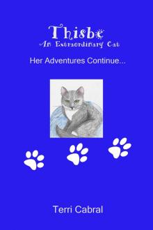 Thisbe An Extraordinary Cat  Her Adventures Continue...