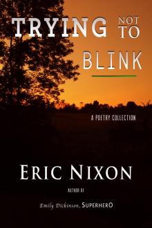 Trying Not To Blink: A Poetry Collection