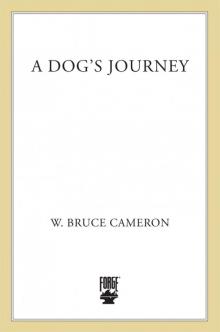 A Dog's Journey